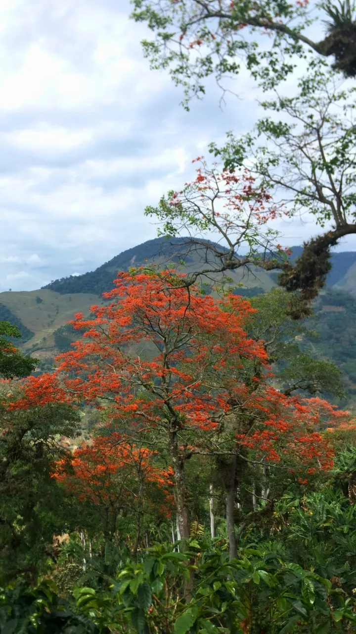 Galería sensorial Metamorfosis